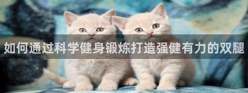 意昂2招商