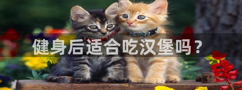 意昂2娱乐