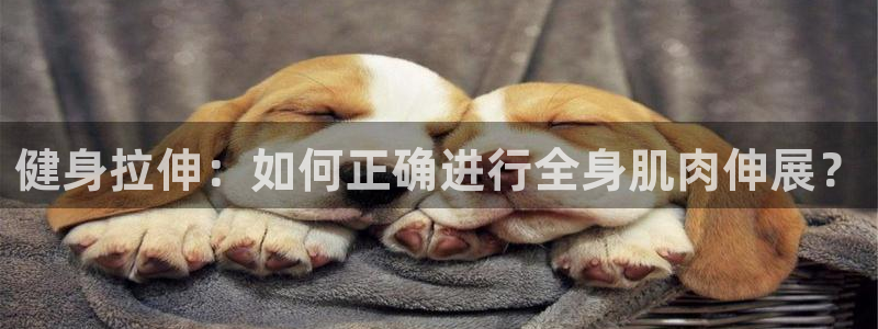 意昂2官网