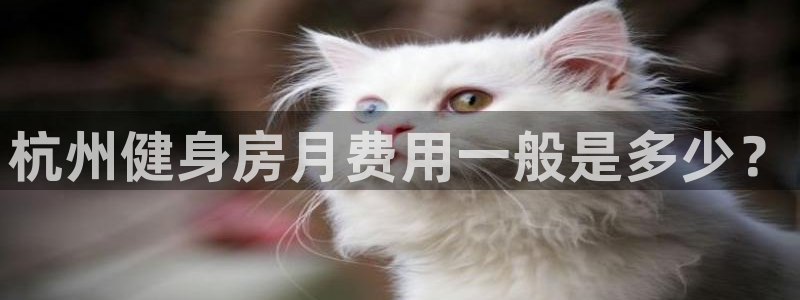 意昂2官方网站